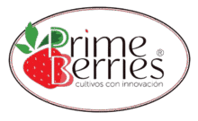logo web
